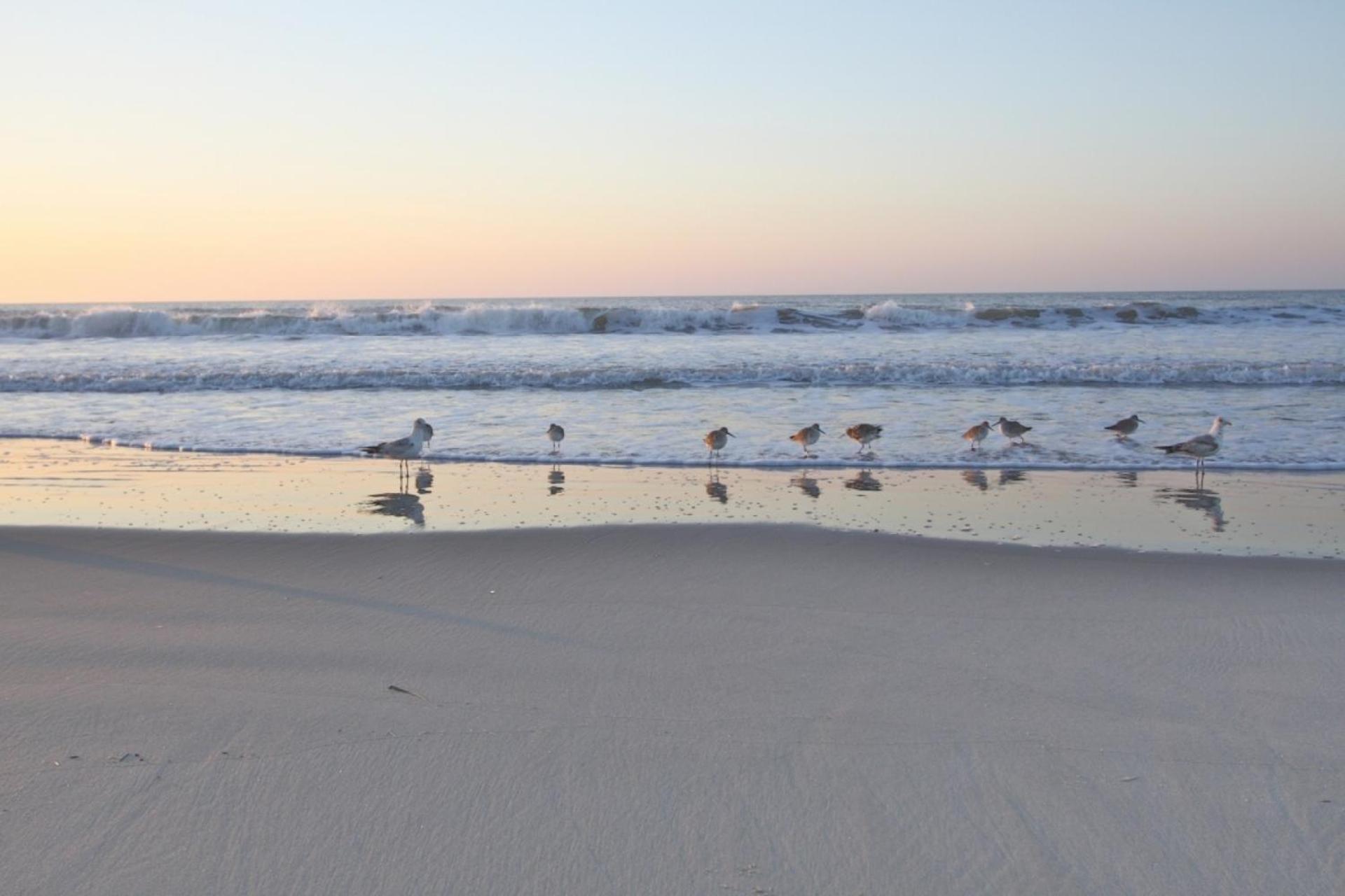 فيلا Just Beachy جزيرة النخيل المظهر الخارجي الصورة